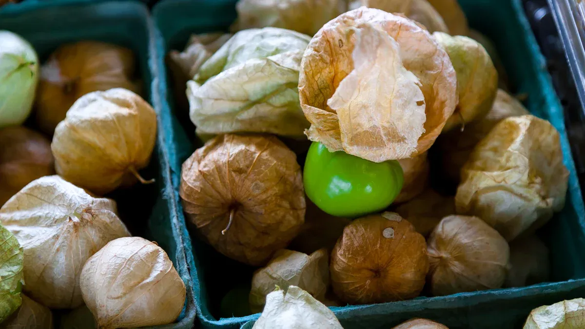 Tomatillo: Nutrition Facts, Health Benefits & Culinary Uses