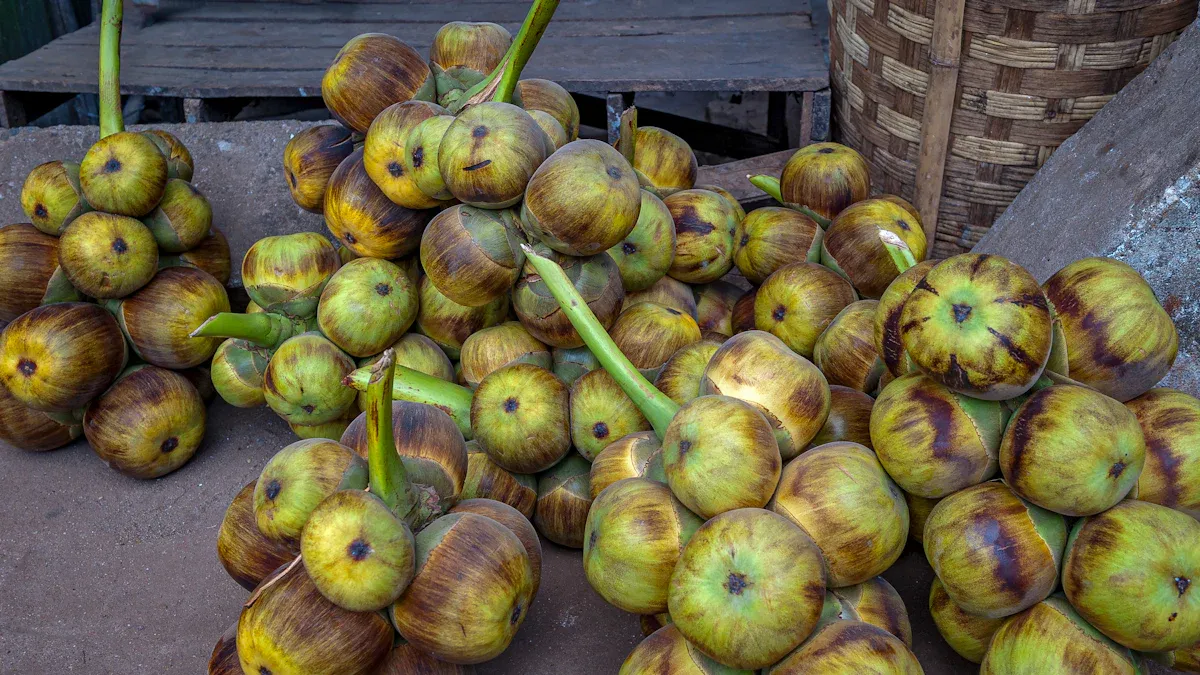 What Is Palmyra Fruit?