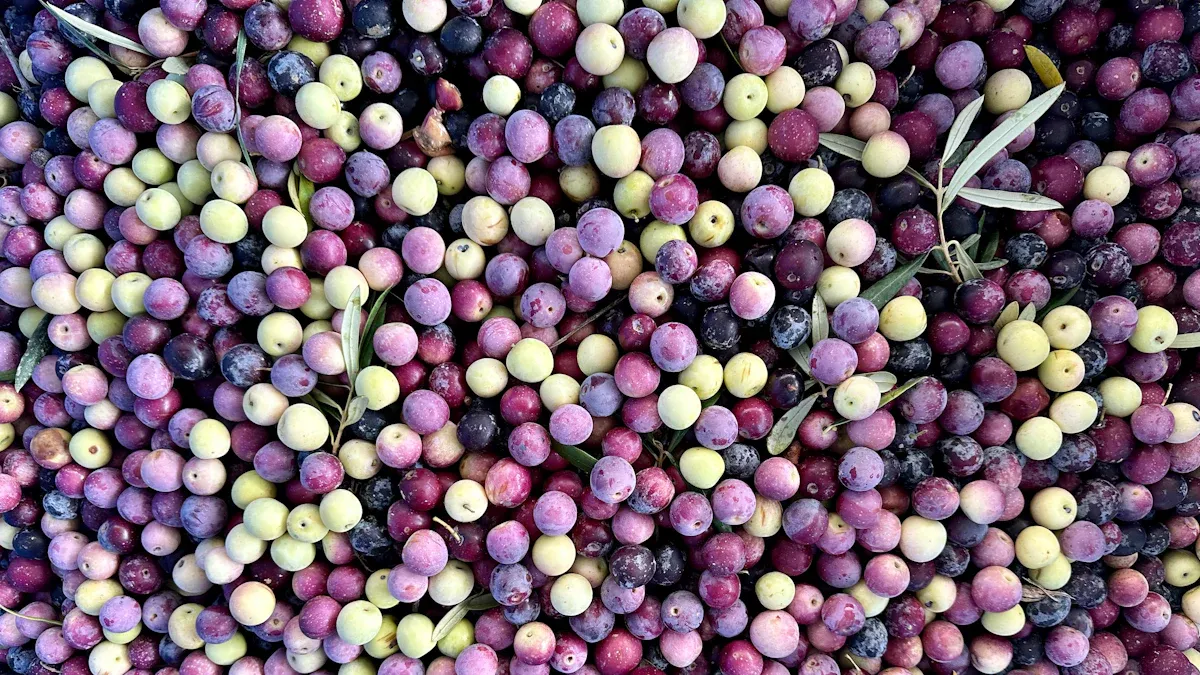 Nutrition of Phalsa Fruit