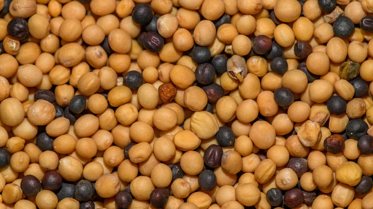 Mustard Seed Nutrition