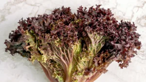Red Leaf Lettuce: Nutrition Facts & Health Benefits