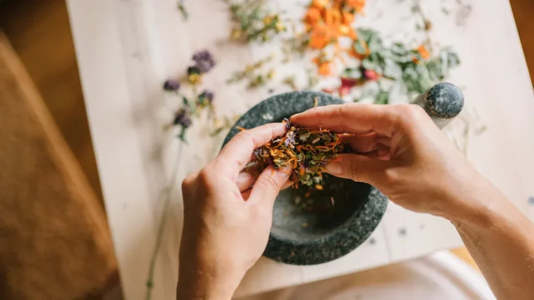 Health Benefits of Alagaw (Premna Odorata)