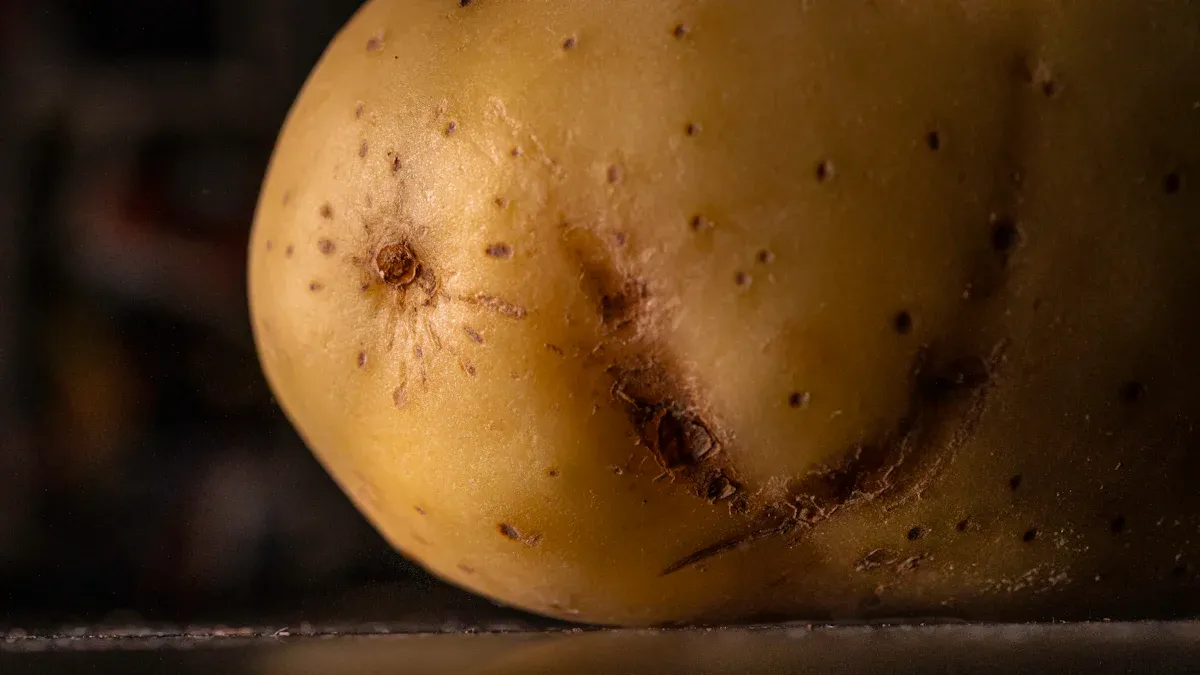 Potato Skin Nutrition