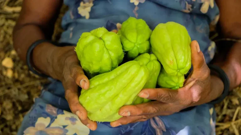 Chayote: Nutrition, Benefits & Culinary Uses