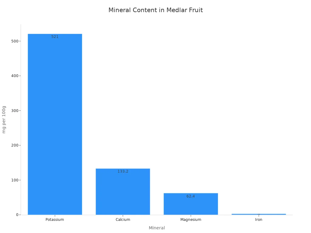 Bar chart showing potassium, calcium, magnesium, and iron content in medlar fruit per 100 grams
