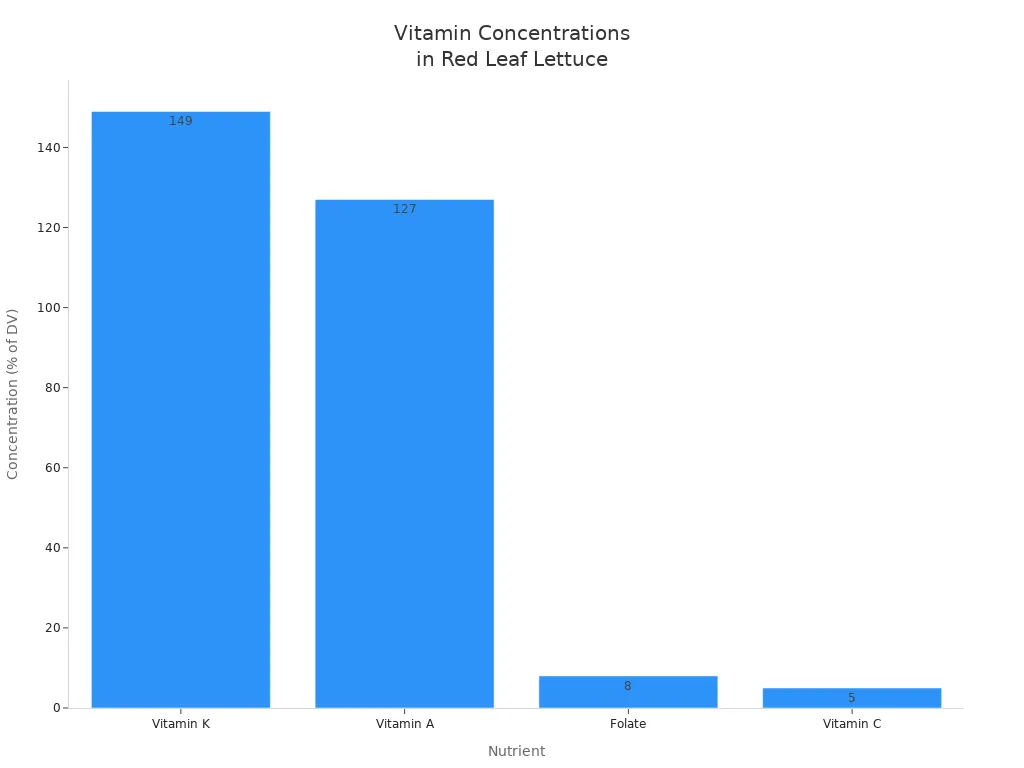Bar chart comparing vitamin K, A, C, and folate concentrations in red leaf lettuce