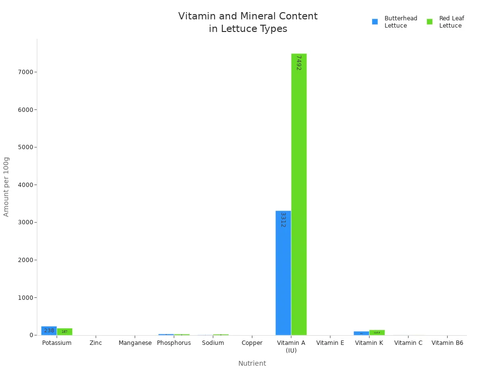 Grouped bar chart comparing vitamin and mineral content of butterhead and red leaf lettuce