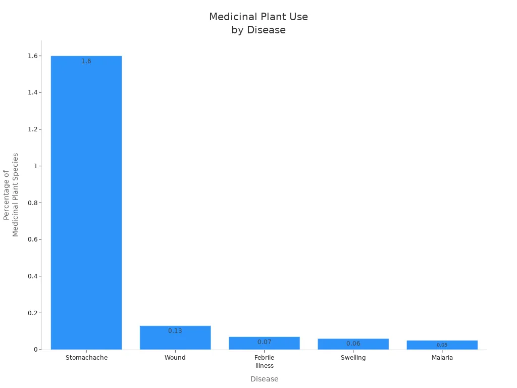 Bar chart showing percentage of medicinal plant species used for various diseases