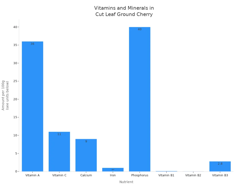Bar chart showing vitamin and mineral content per 100g of cut leaf ground cherry