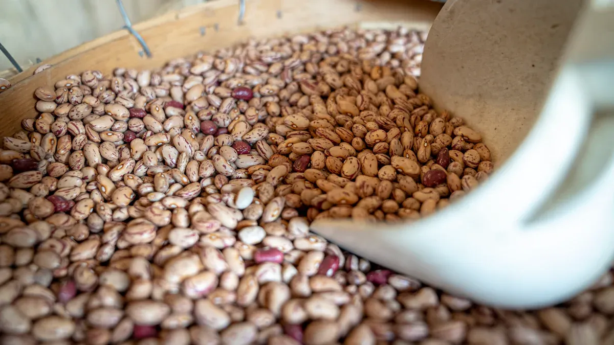 Cysteine: Functions, Benefits & Dietary Sources