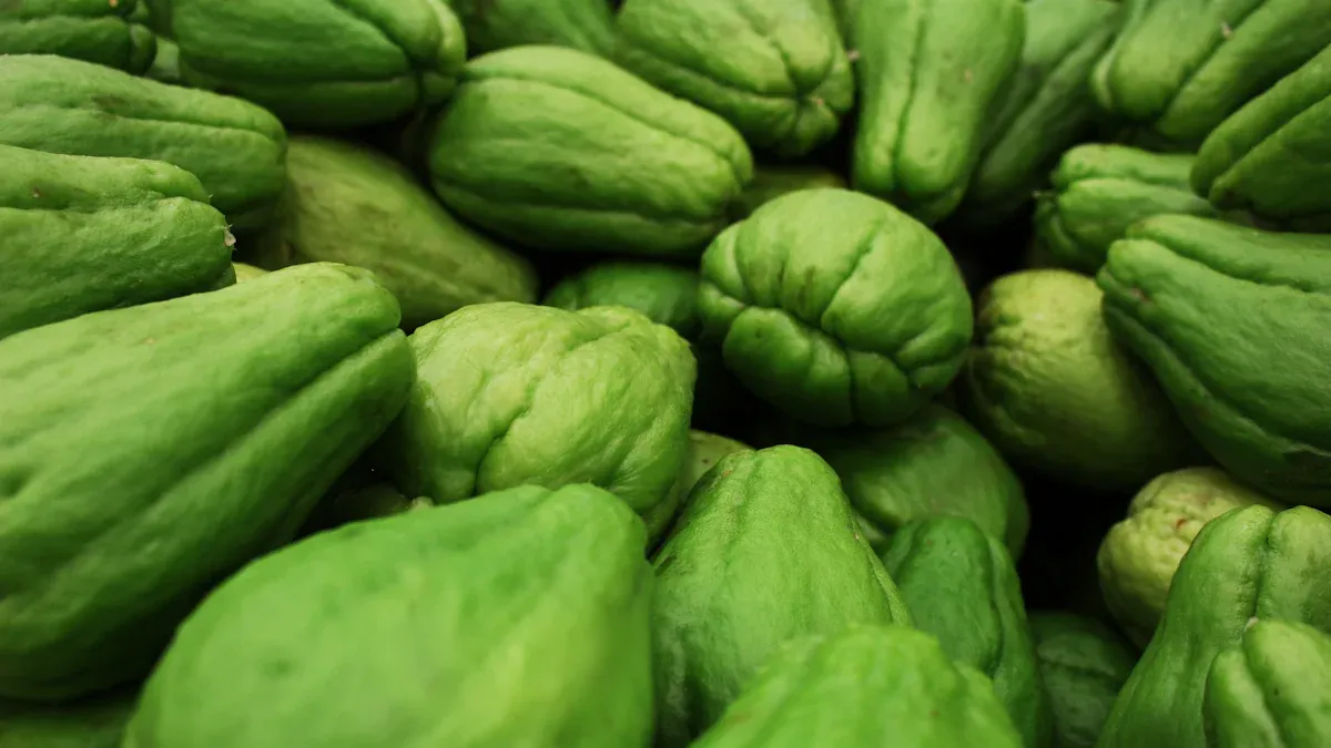 Chayote Nutrition