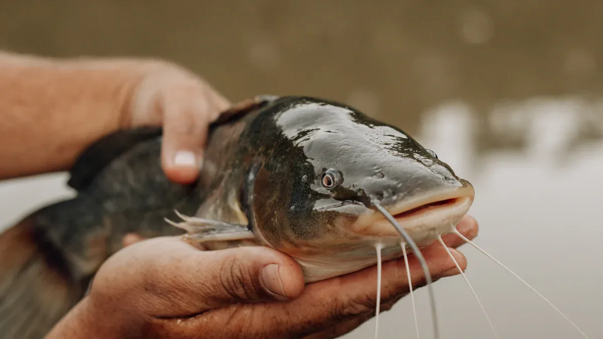 Understanding the Nutritional Value of Catfish