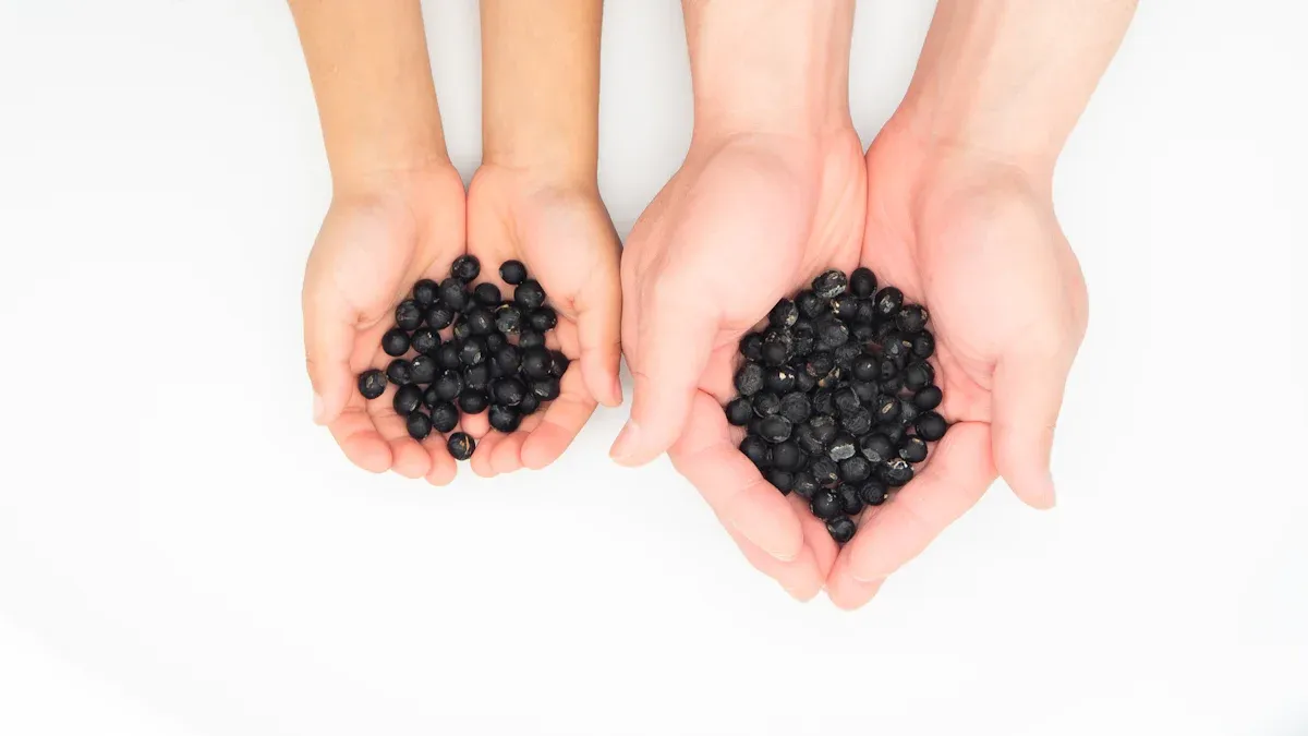 Black Seed: Nigella Sativa Benefits and Thymoquinone Guide