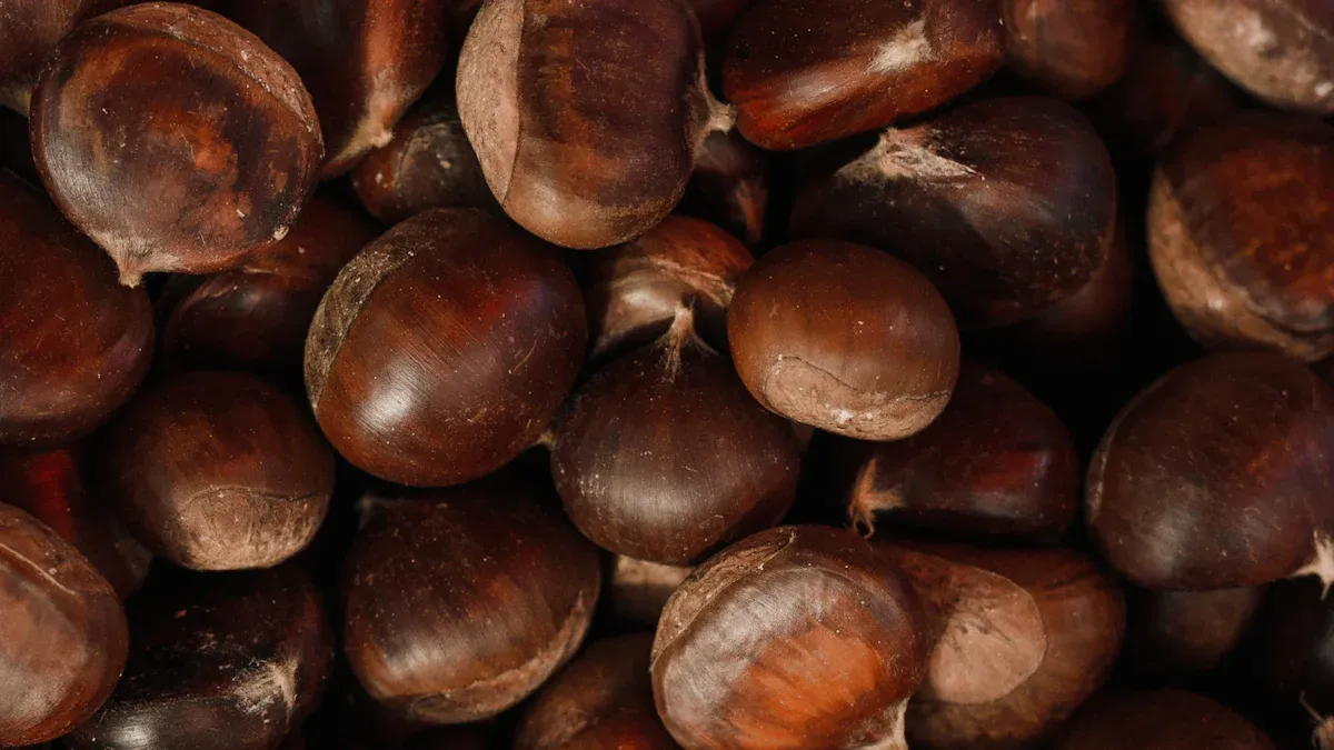 Chestnuts Nutrition Benefits: Carbs, Fiber, and Low-Fat Nut