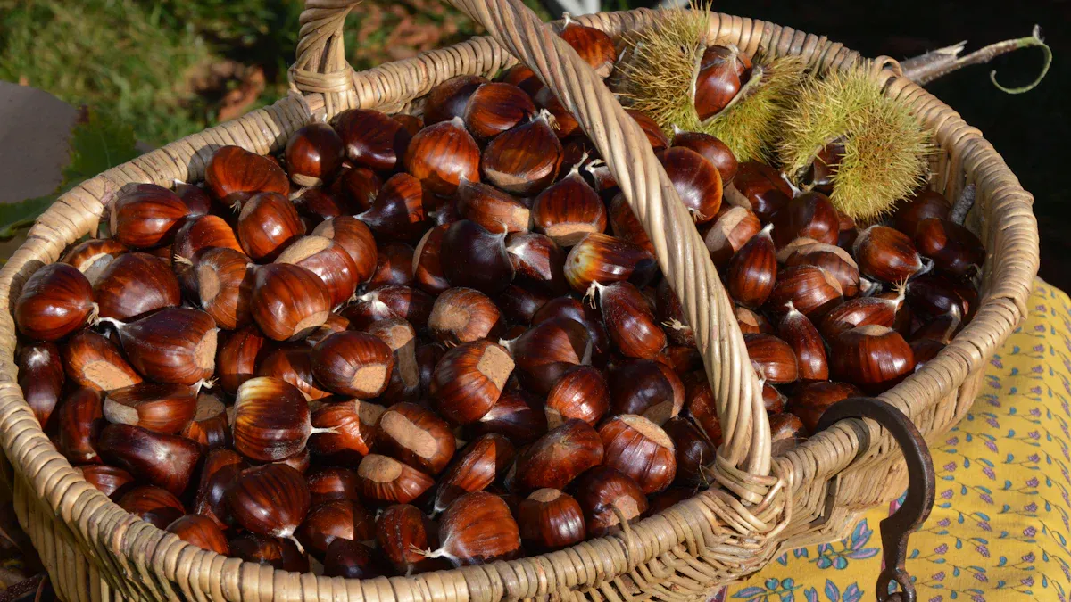Understanding Chestnuts Nutrition Benefits