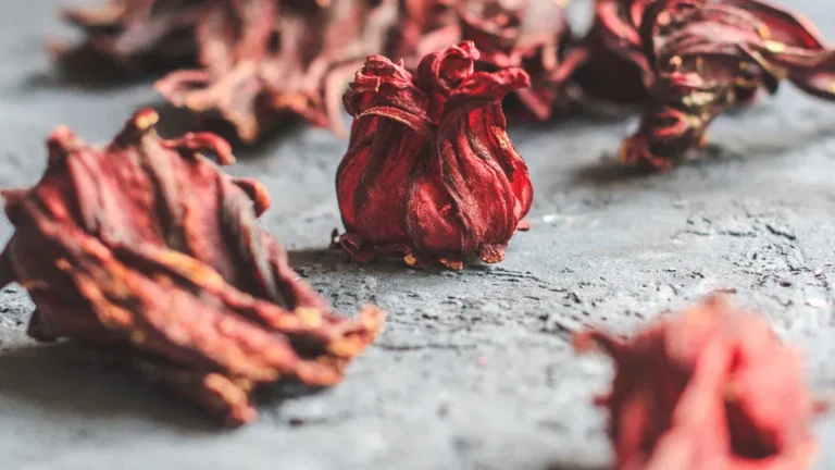 Sea Moss benefits, nutrition, and a comprehensive guide to Irish Moss