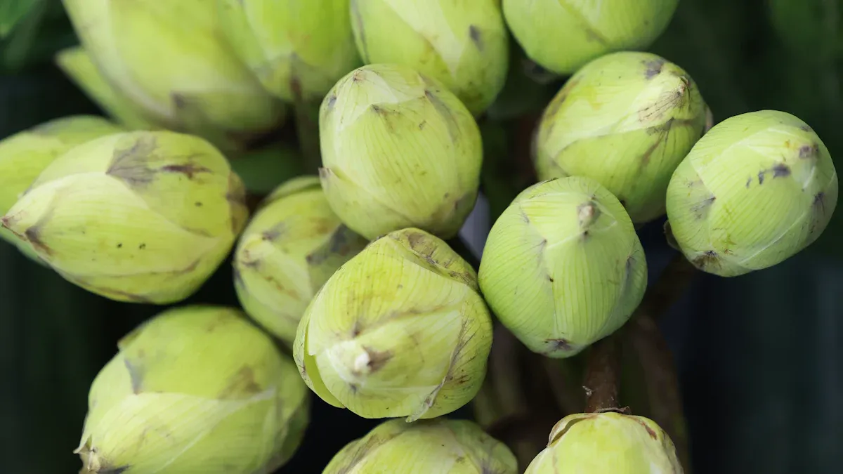 Understanding Lotus Root Nutrition