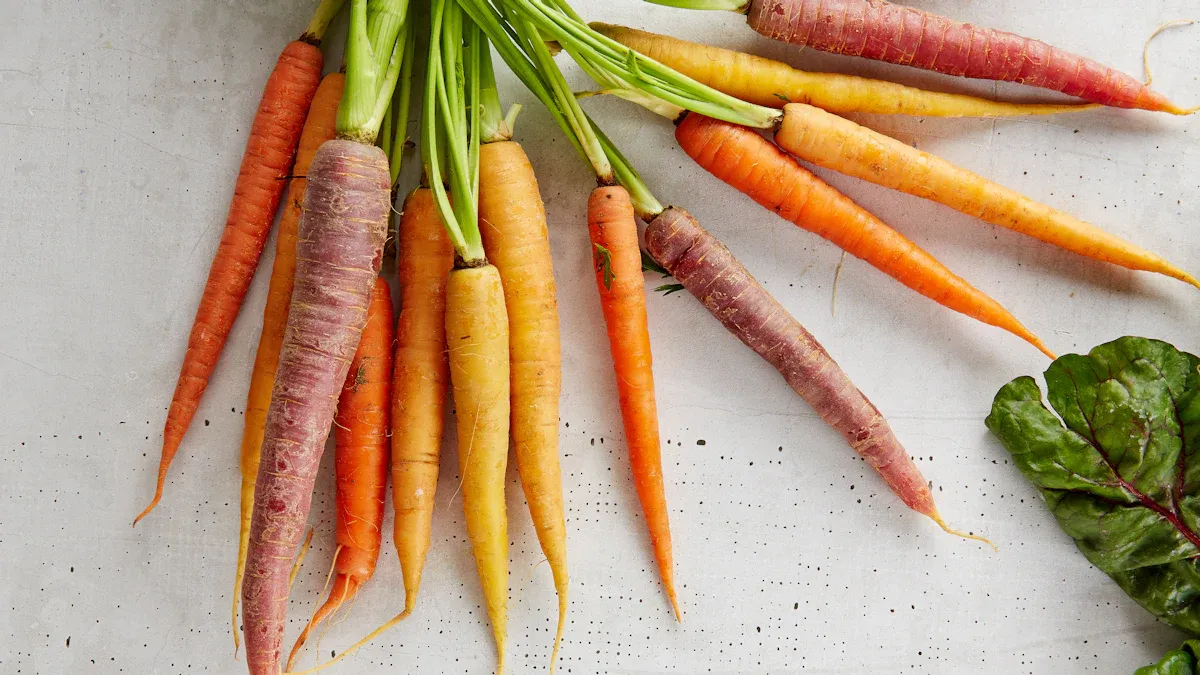 Carrots: A Nutritional Overview