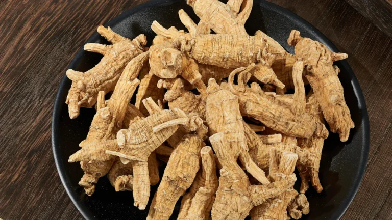 American Ginseng: Benefits and Guide to the Root