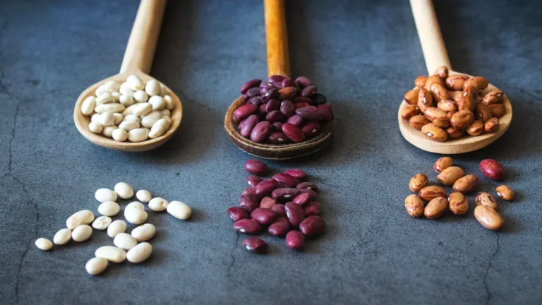 Anasazi Beans Nutrition: Protein, Fiber, and Bean Facts