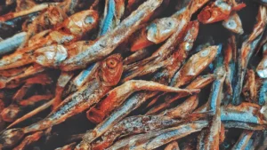 Sprats Nutrition Benefits: Omega-3s, Calcium, and Small Fish