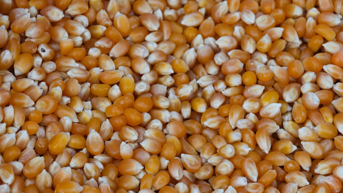 What Are Corn Nuts Nutrition: Calories, Carbs, and Snack Facts