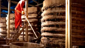 What is Cheonggukjang: Fermented Soybean Paste, Uses, and Benefits