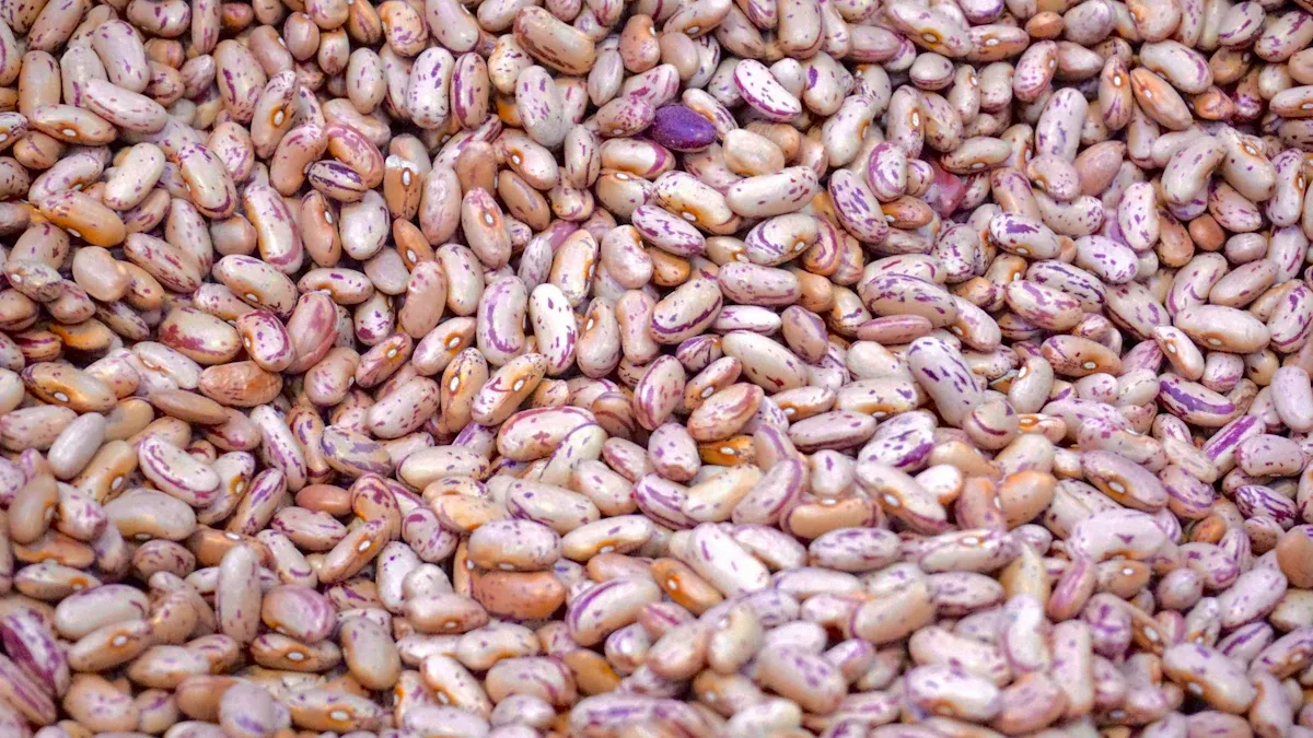 Anasazi Beans Overview