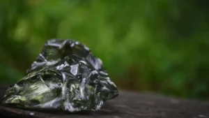 Nutrient Rich Herbs: The Most Vitamin & Mineral Dense Plants