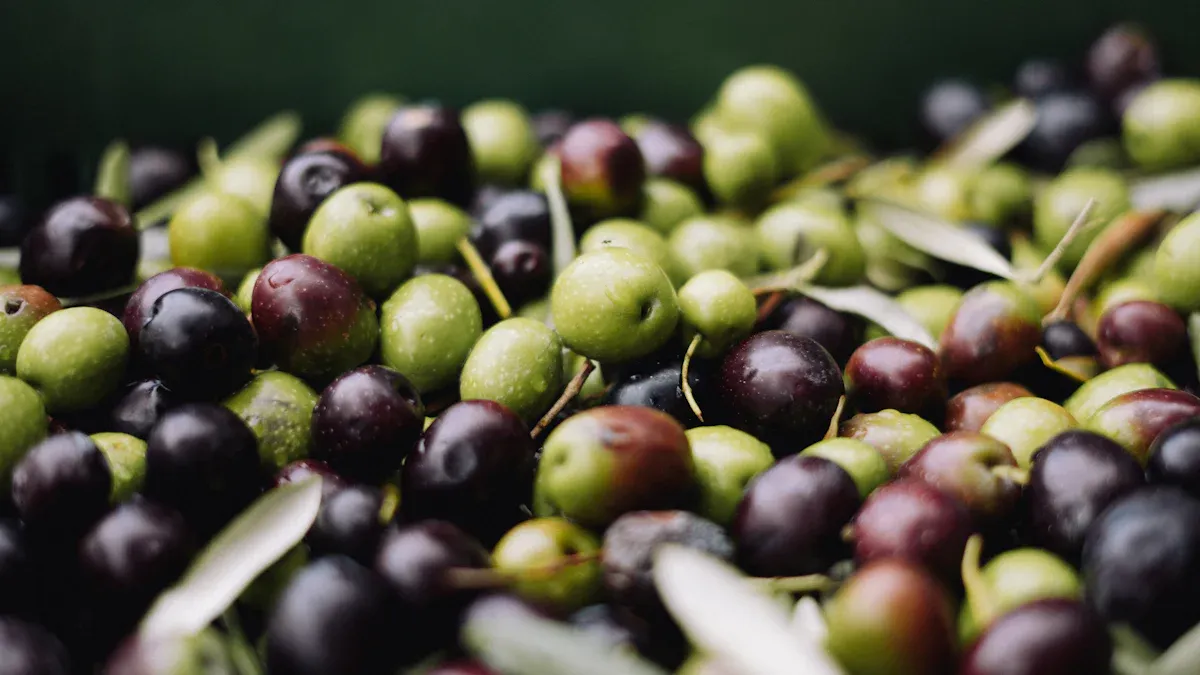 Green vs Black Olives: Ripeness and Taste