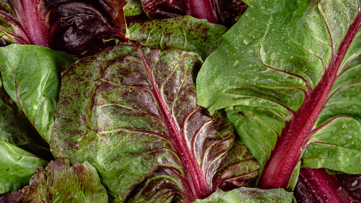 H2: Beet Greens Nutrition Profile