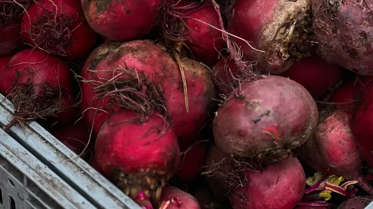Health Benefits Beets: Blood Pressure, and Nutrition Facts