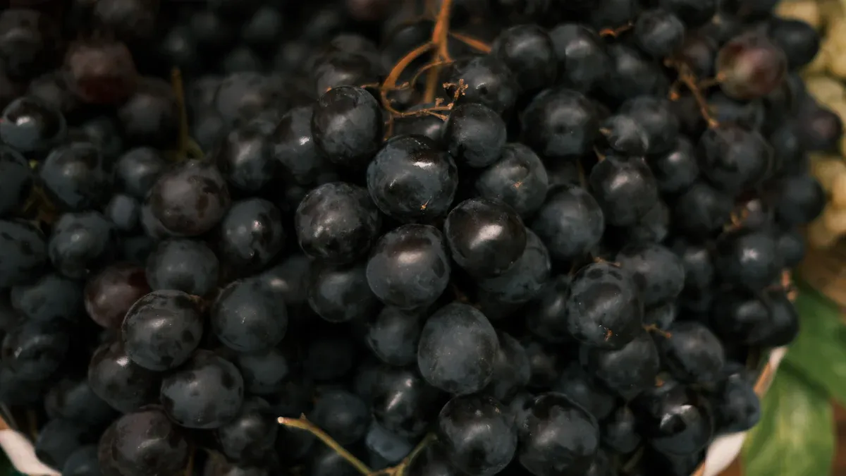 Red Palm Oil: Definition and Distinction