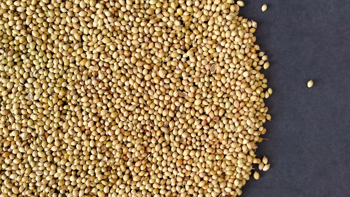 Quinoa nutrition facts: Power Up Your Plate Easily Now