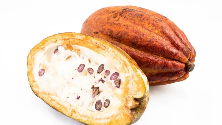Brewed Cacao Benefits: Antioxidants, Taste, and Facts