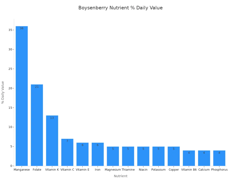 A bar chart showing the percentage of daily value for various nutrients found in boysenberries, ordered from highest to lowest.