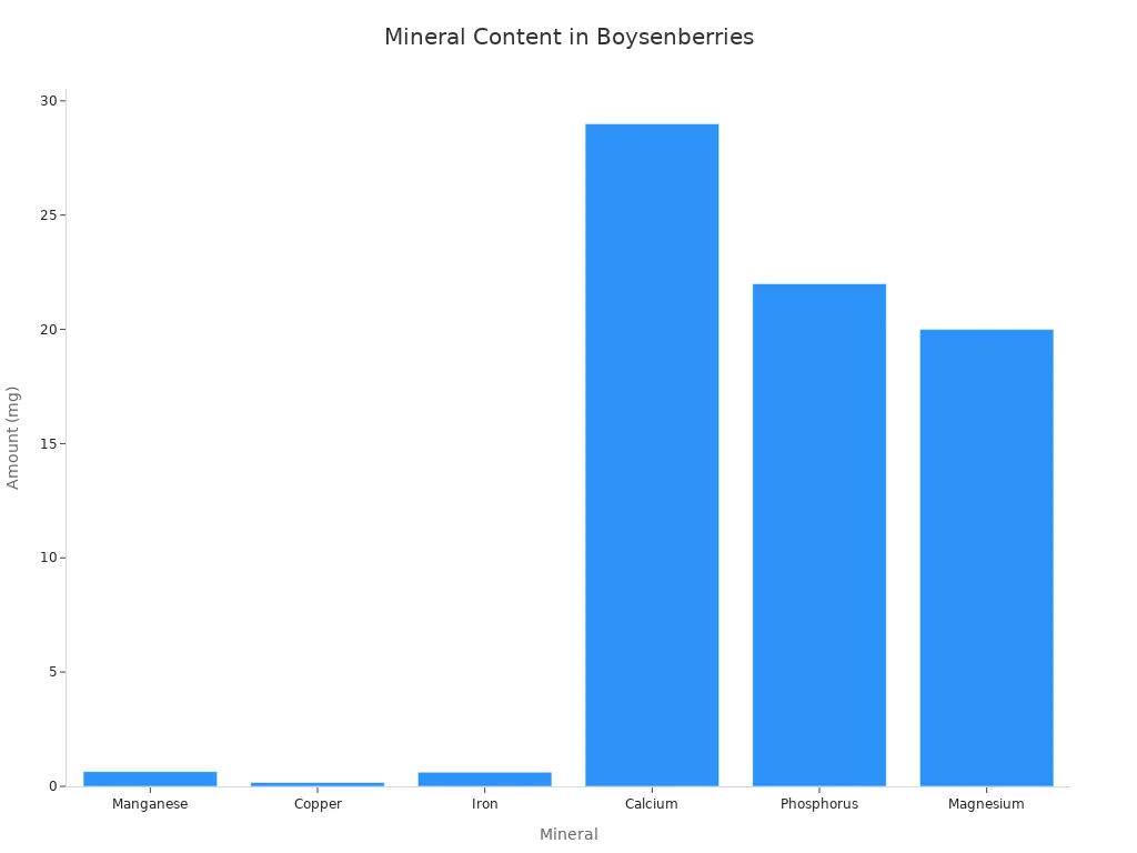 A bar chart displaying the amount of various minerals per 100 grams of boysenberries.