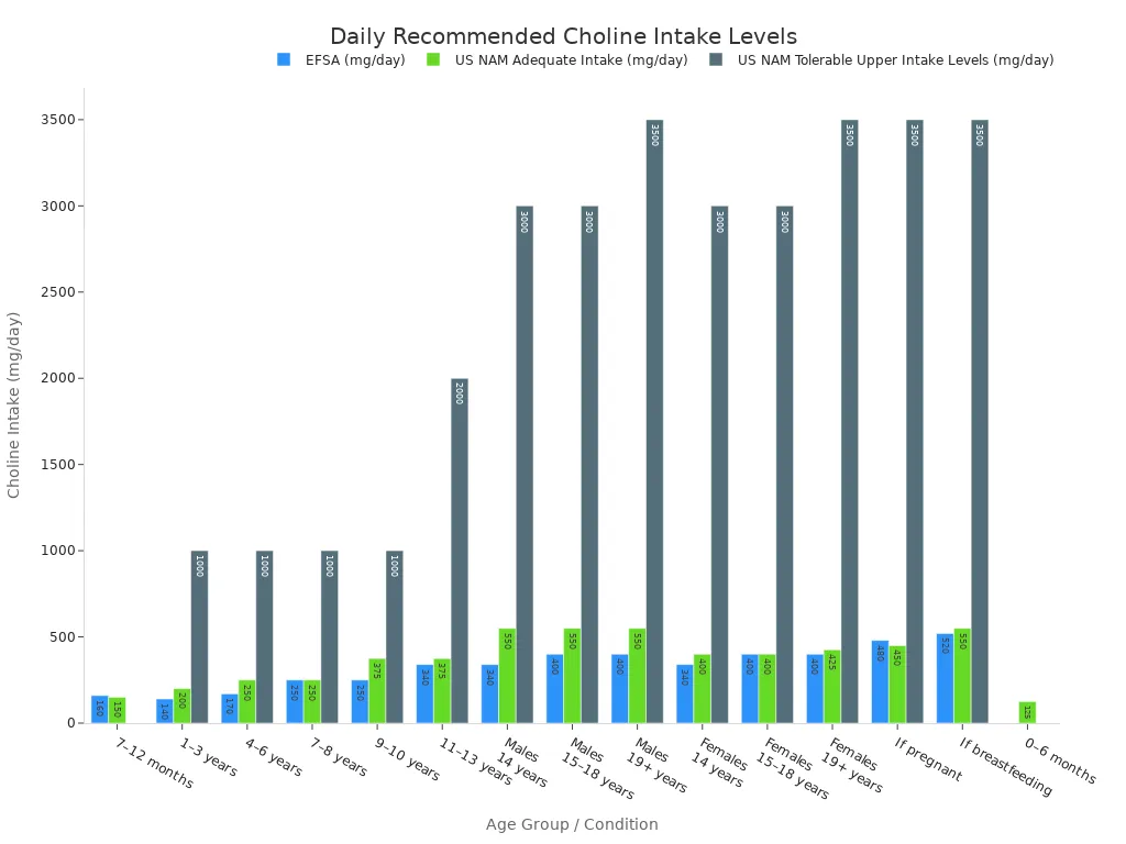 A bar chart showing daily recommended choline intake levels and tolerable upper intake levels for various age groups and conditions, comparing EFSA and US NAM guidelines.