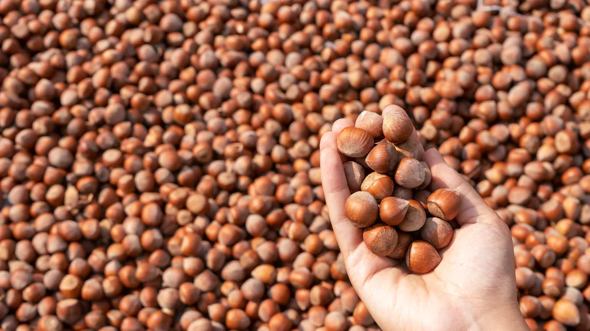 What Are Tiger Nuts: