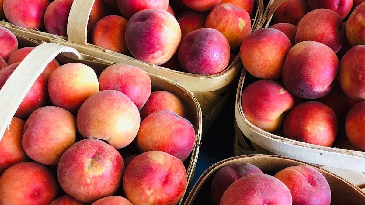 Selection, Storage, & Forms