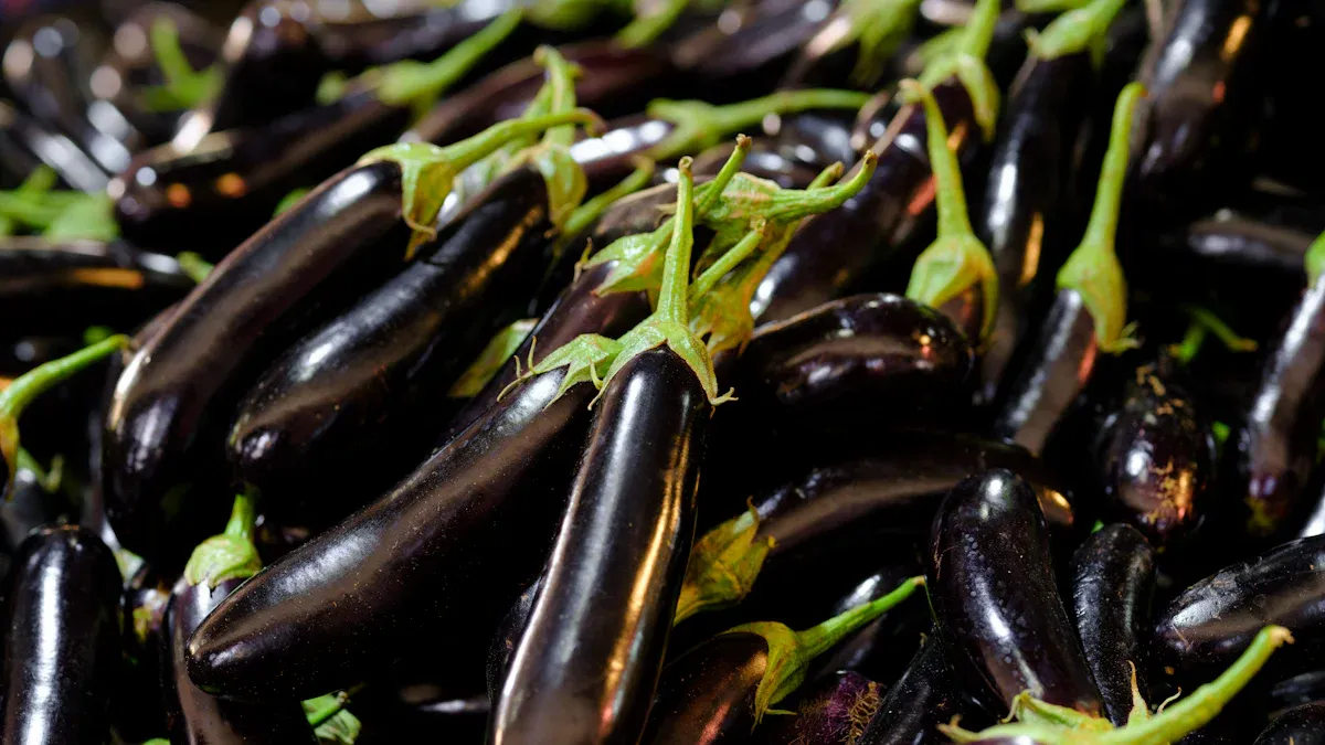 Eggplant Nutrition: Essential Facts, Amazing Benefits, & Uses