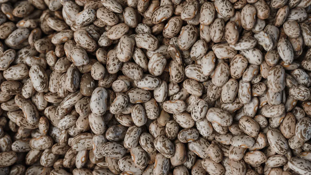 Pinto Beans Nutrition: Key Components