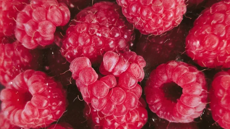 Red Raspberries Nutrition Benefits: Fiber, Vitamins, and Sweet Fruit