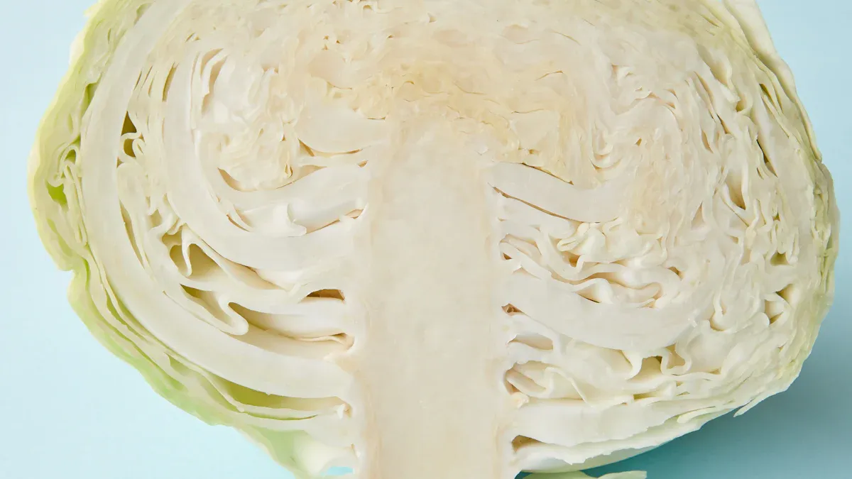 Cabbage Nutrition: Essential Facts