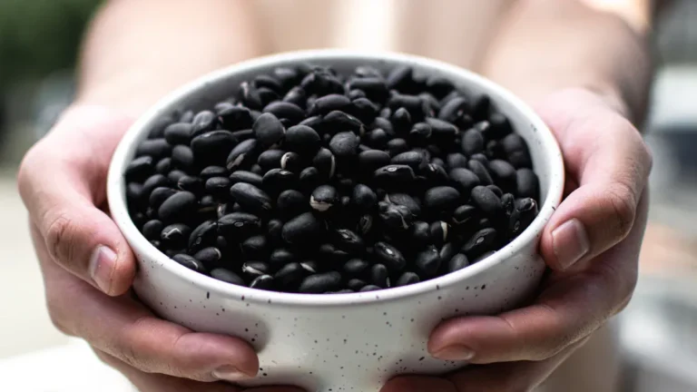 Black Beans Nutrition: Top 7 Uses, Facts, & Powerful Benefits