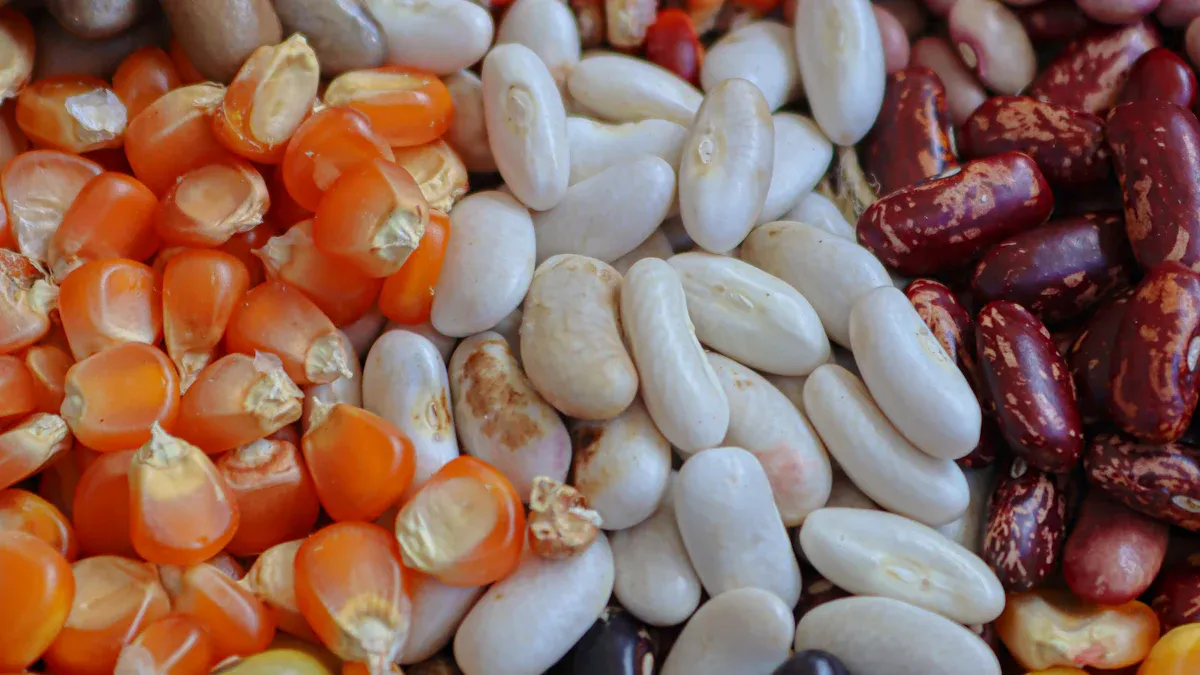 Kidney Beans Nutrition: Key Facts