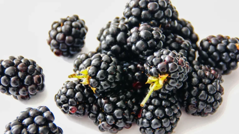 Blackberries Nutrition Benefits: Fiber, and Taste