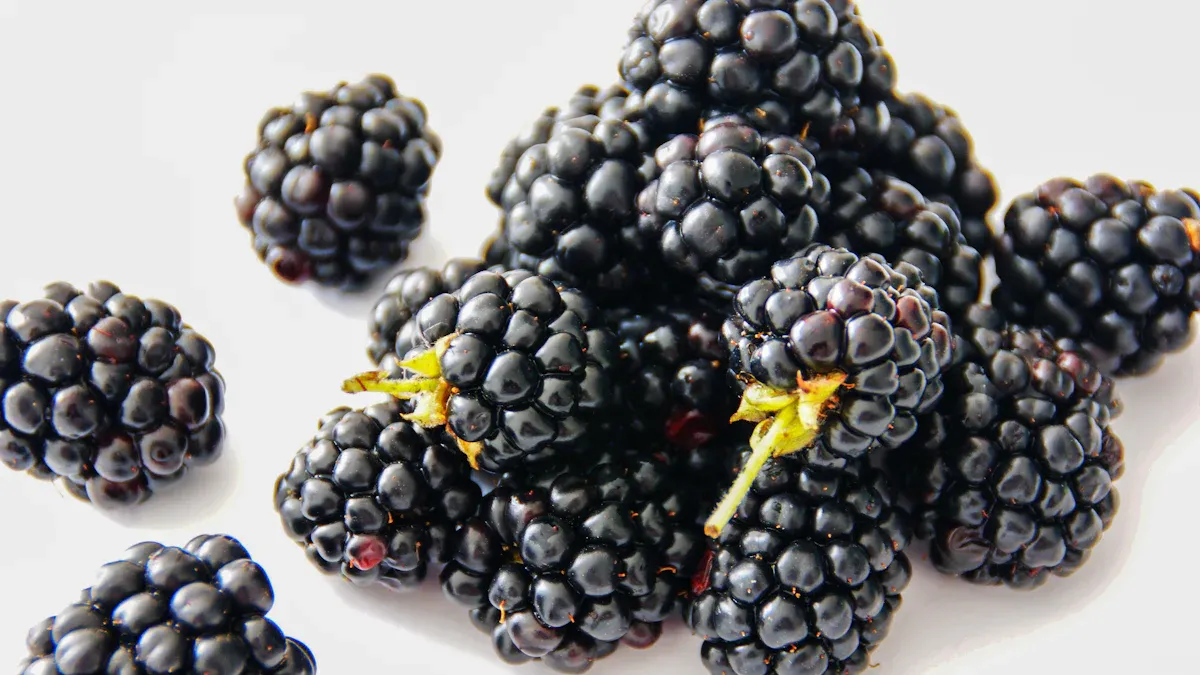 Blackberries Nutrition Benefits: Fiber, and Taste