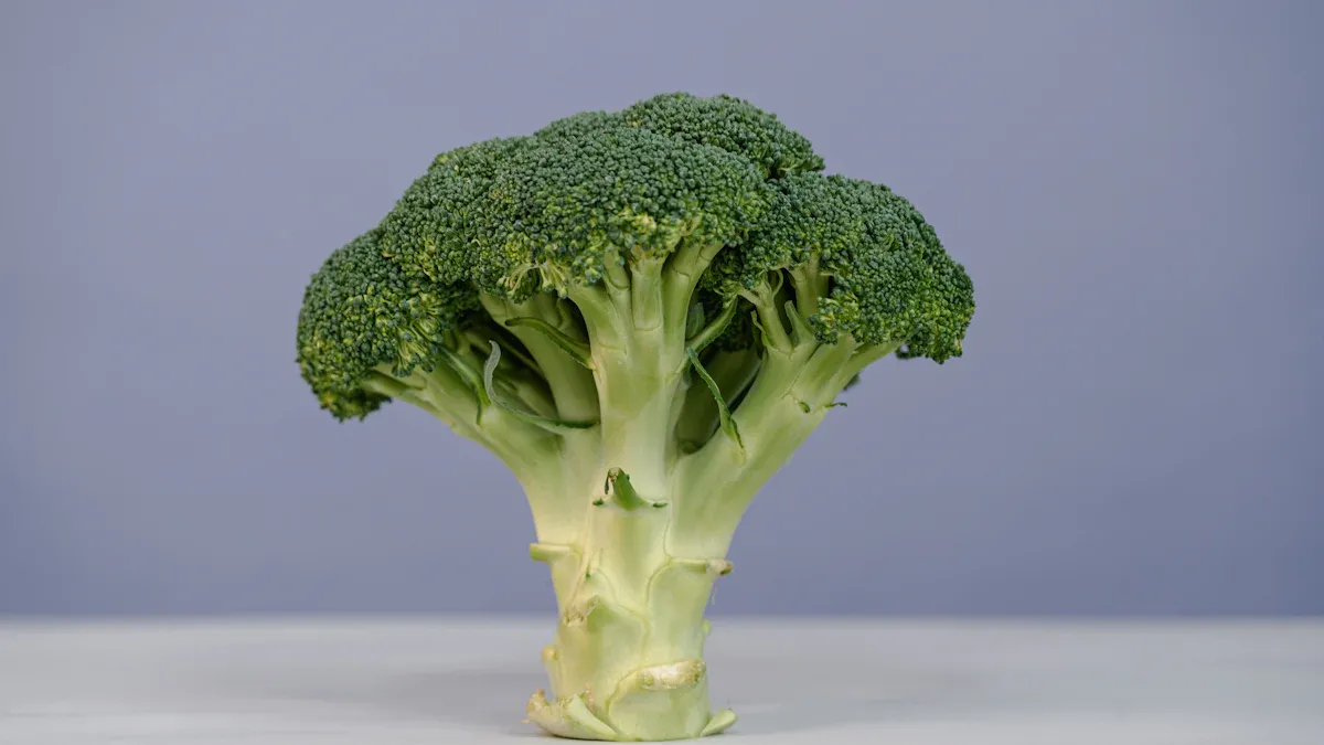 Broccoli Nutrition Profile