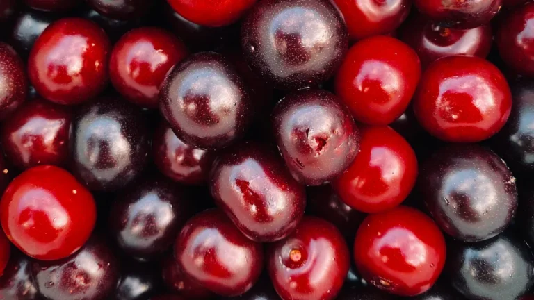 Black Currants: Vitamin C, and Berry Health Facts